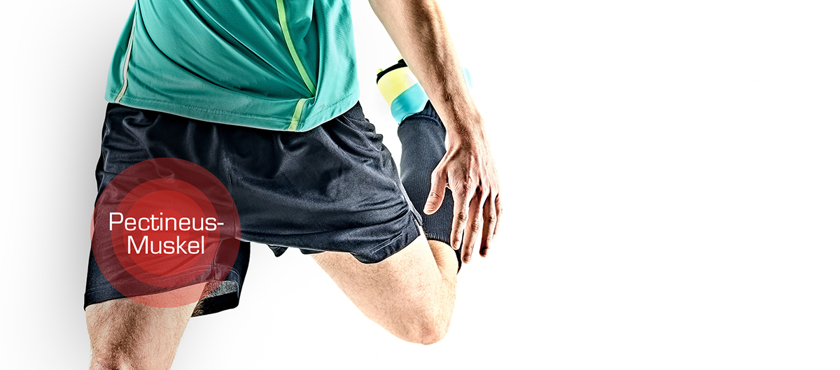 website article groin pain de