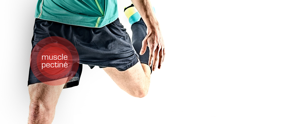 website article groin pain fr