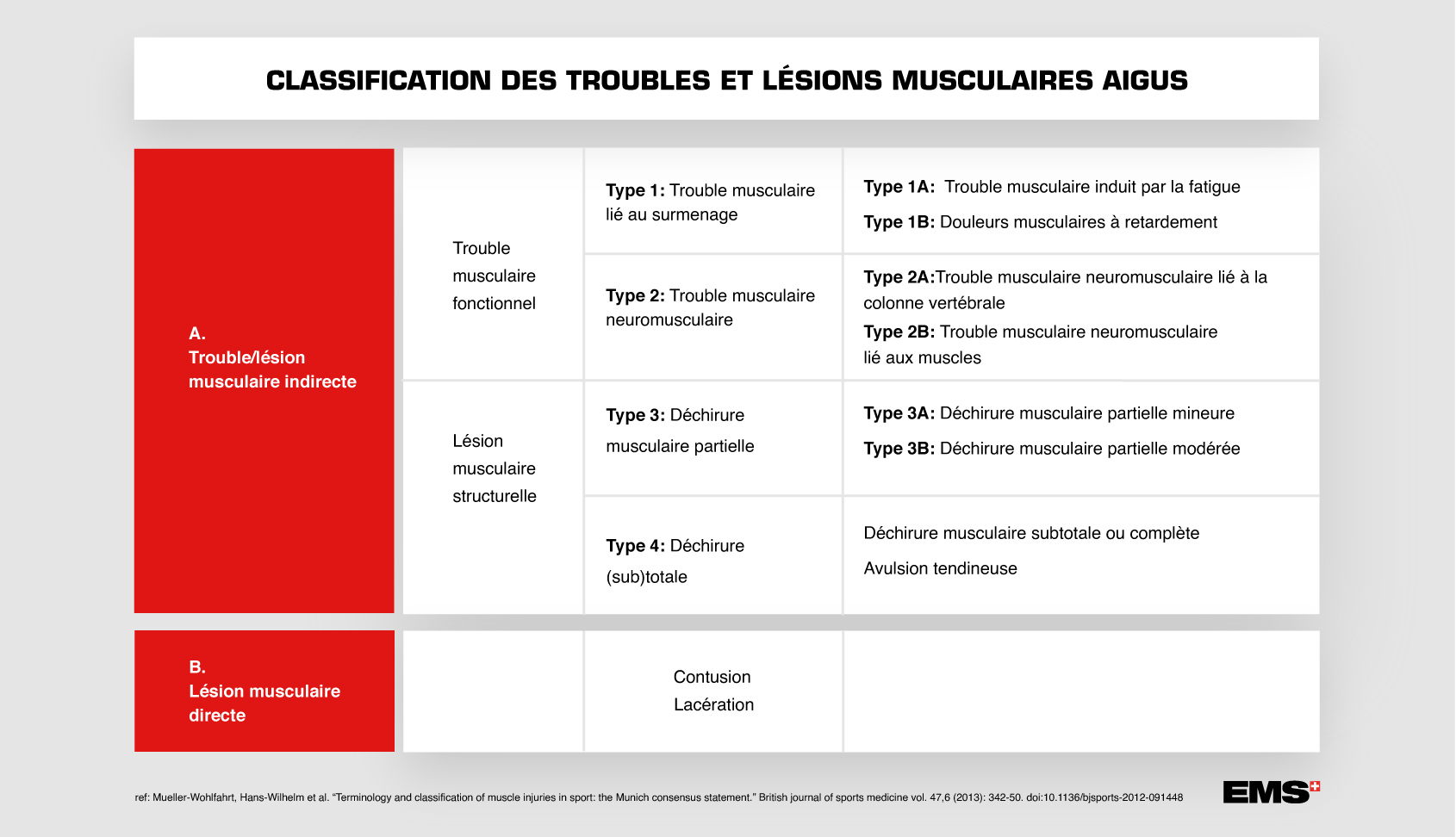 classification FR.jpg 