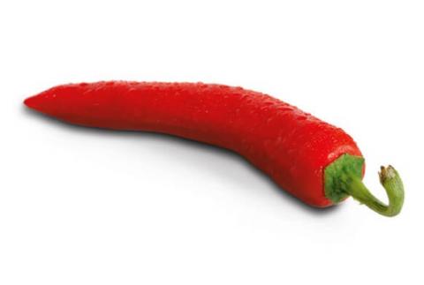 Red chili pepper