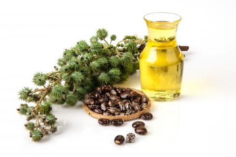 Castor oil